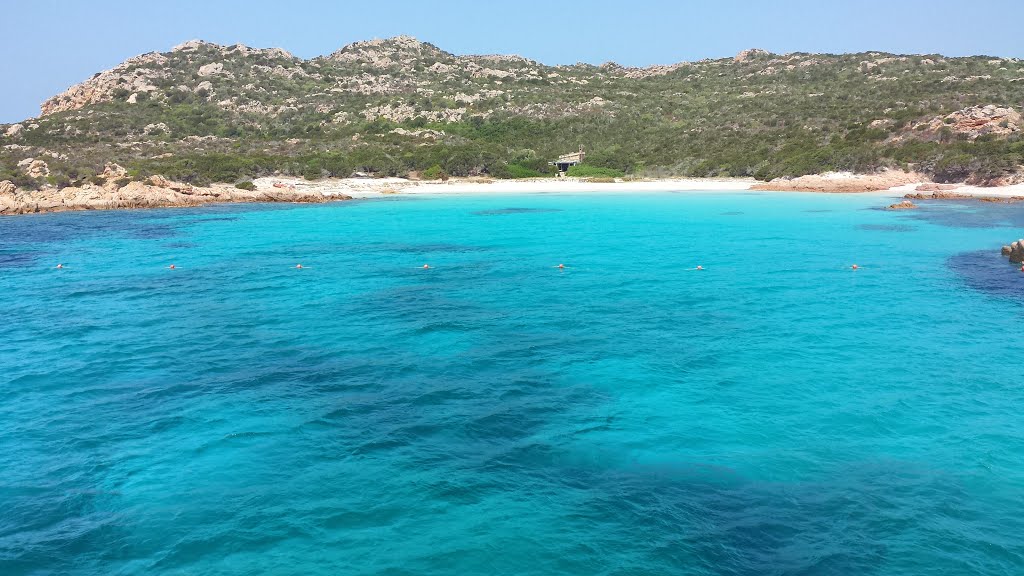 Isola di Budelli - Spiaggia Rosa by Pierpaolo Cianci