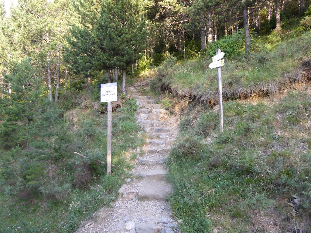 Camino del Refugio de Lluis Estasen desde el parking by Santi Usabiaga