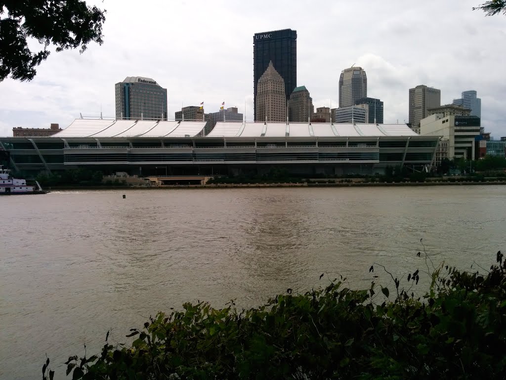 View of DLCC from across the river by Morton Fox