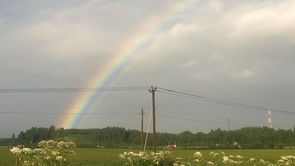 ЛО, Всеволожский район, Порошкино, радуга, 07.2015 by Сергей Лутов