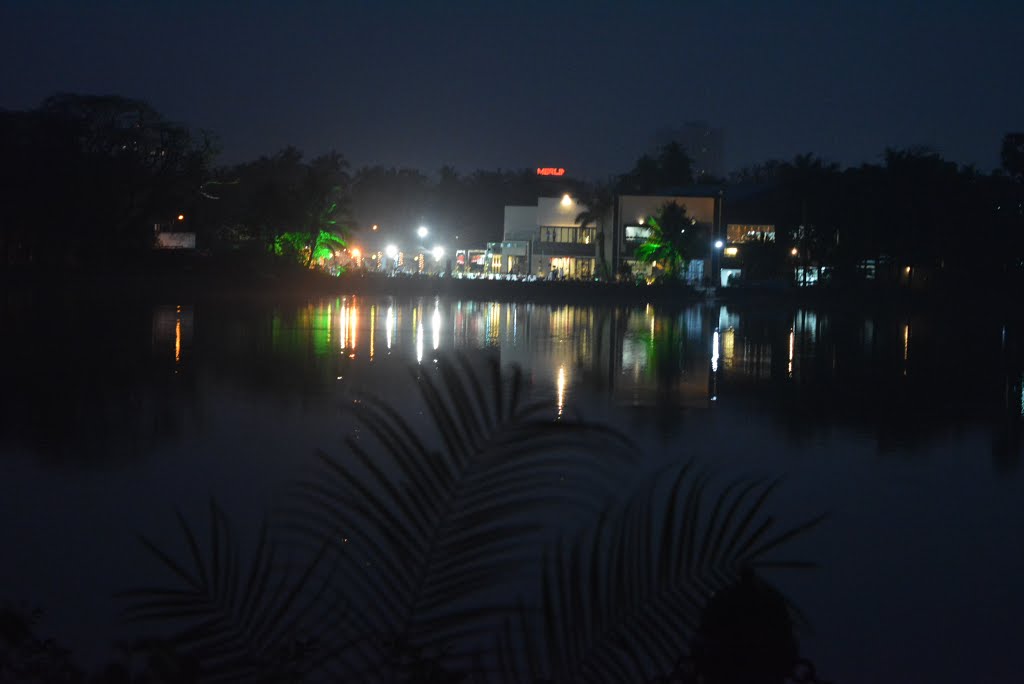 Rabindra sarobar lake by anish kumar