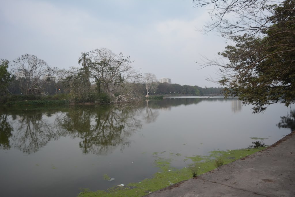 Rabindra sarobar lake by anish kumar