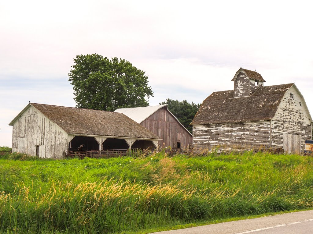 Rustic Farm Buildings by Rich R