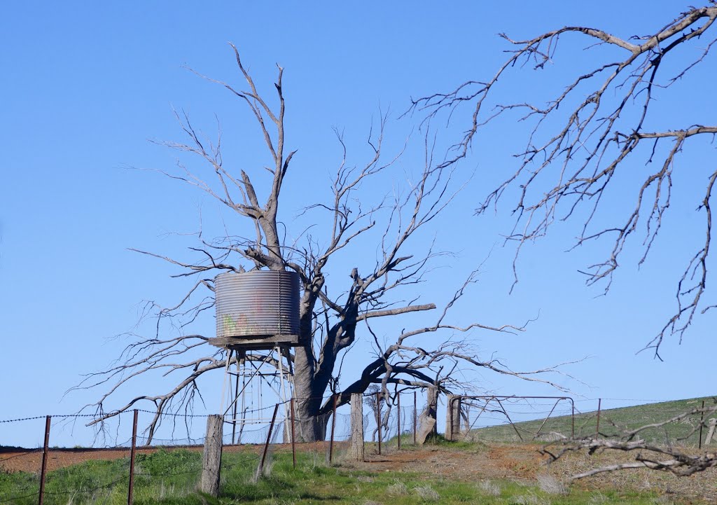 Stark reality of life on the land by James Vickers