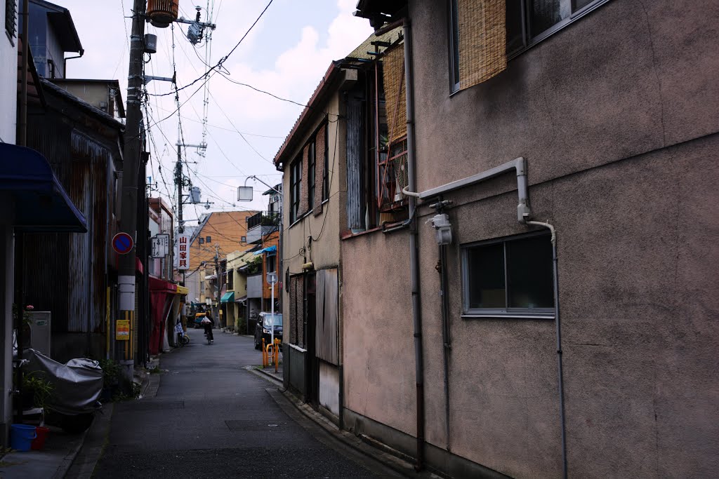 Higashiyama Ward, Kyoto, Kyoto Prefecture, Japan by Koichi Rikitake