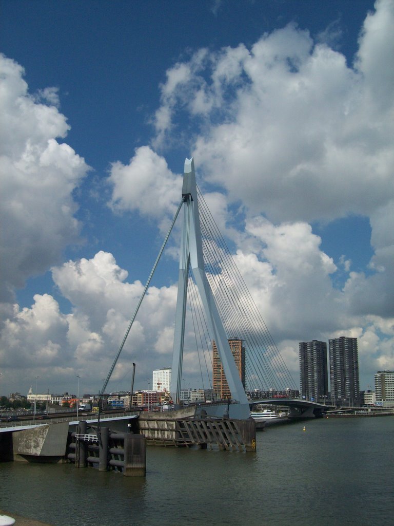 Erasmusbrug by Groep 3a VSO Herenwa…