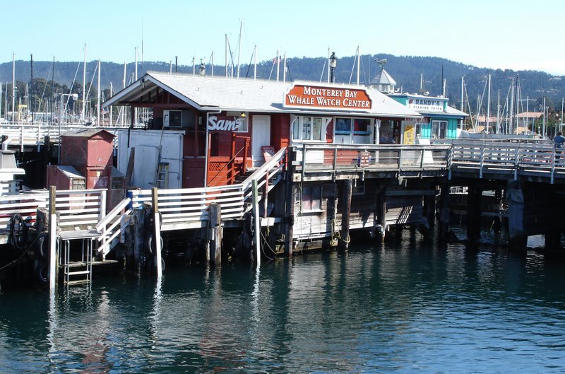 Monterey Harbour by mariward