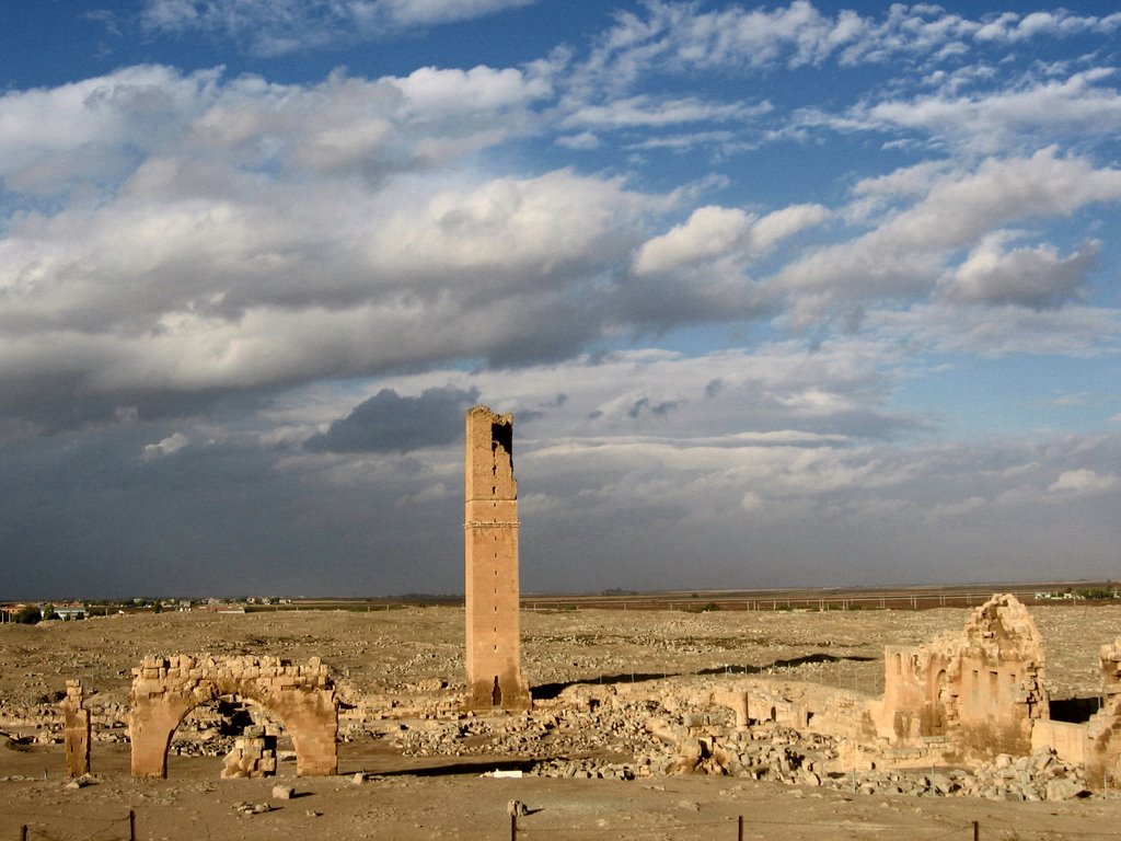 Harran üniversitesi kalıntılarından başka bir görüntü - Another view of Harran university ruins by Mustafa Gokmen