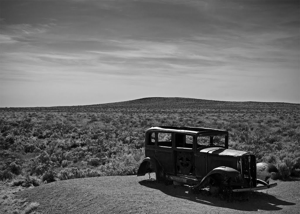 Petrified Forest National Park by Grant Barto