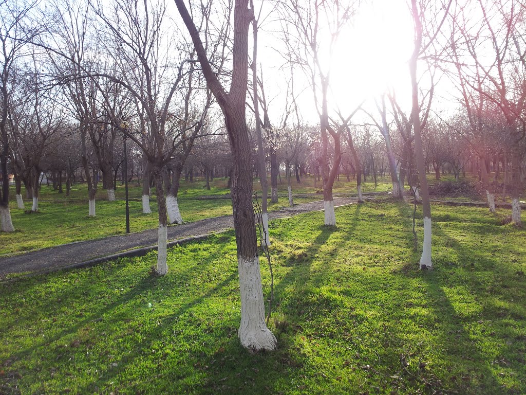 Nersisyan Garden, Echmiadzin by Arthur Ghazaryan