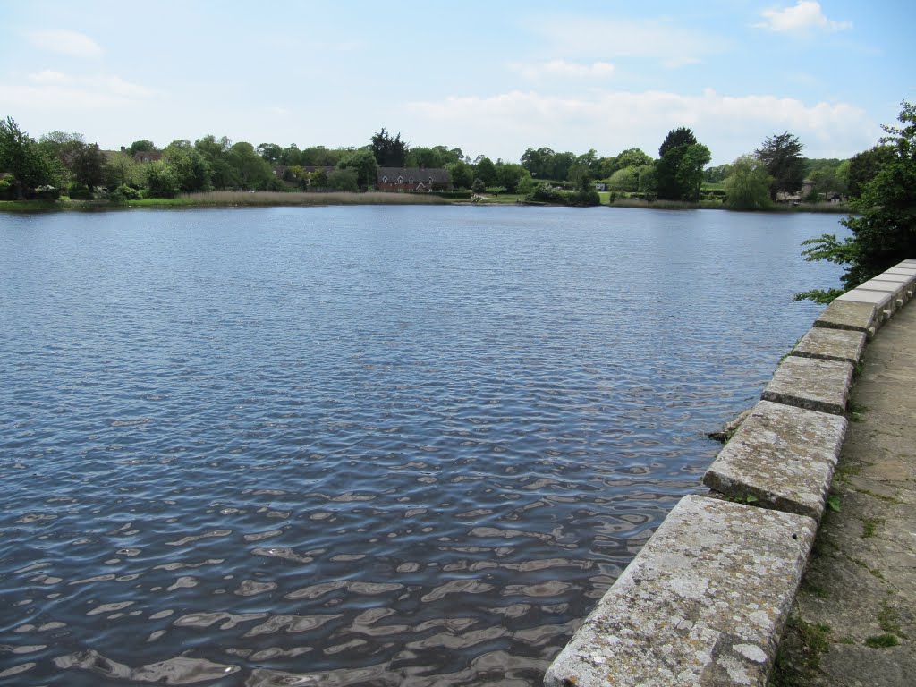 The lake at Beaulieu House, Palace Lane, Beaulieu, Brockenhurst, Hampshire by oldchippy