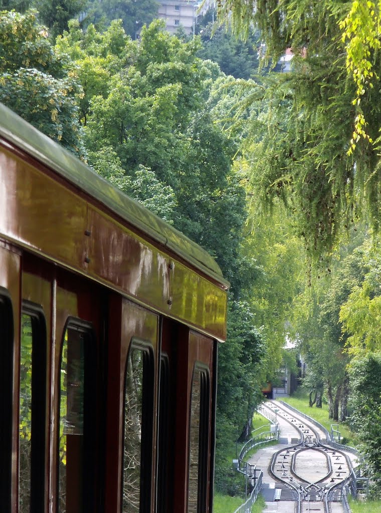 Turmbergbahn by Baden de