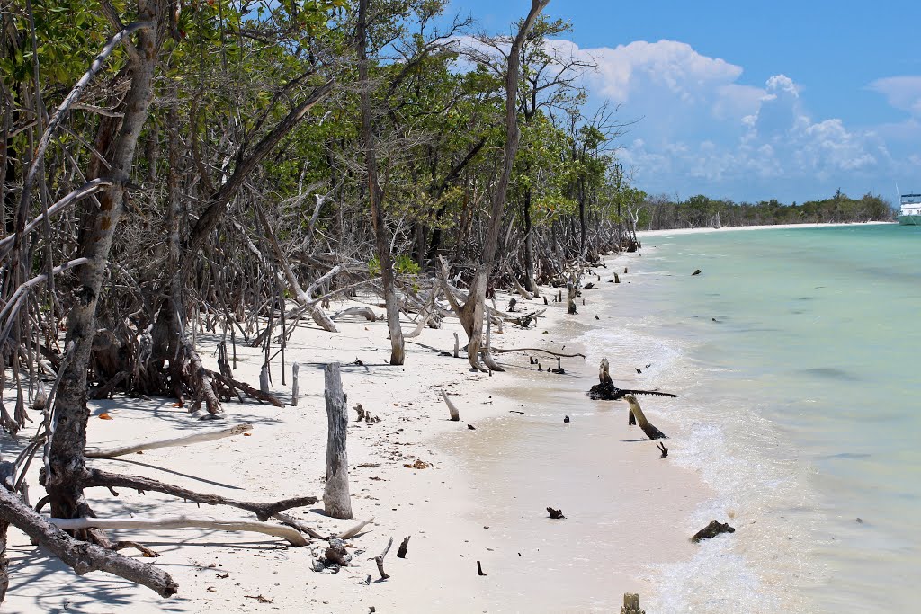 Unnamed Road, Varadero, Cuba by Jürgen Lange