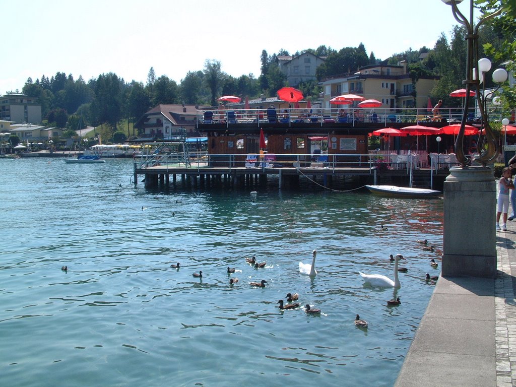 Austria - Velden - Lago di Wörter by Augusto Moretti