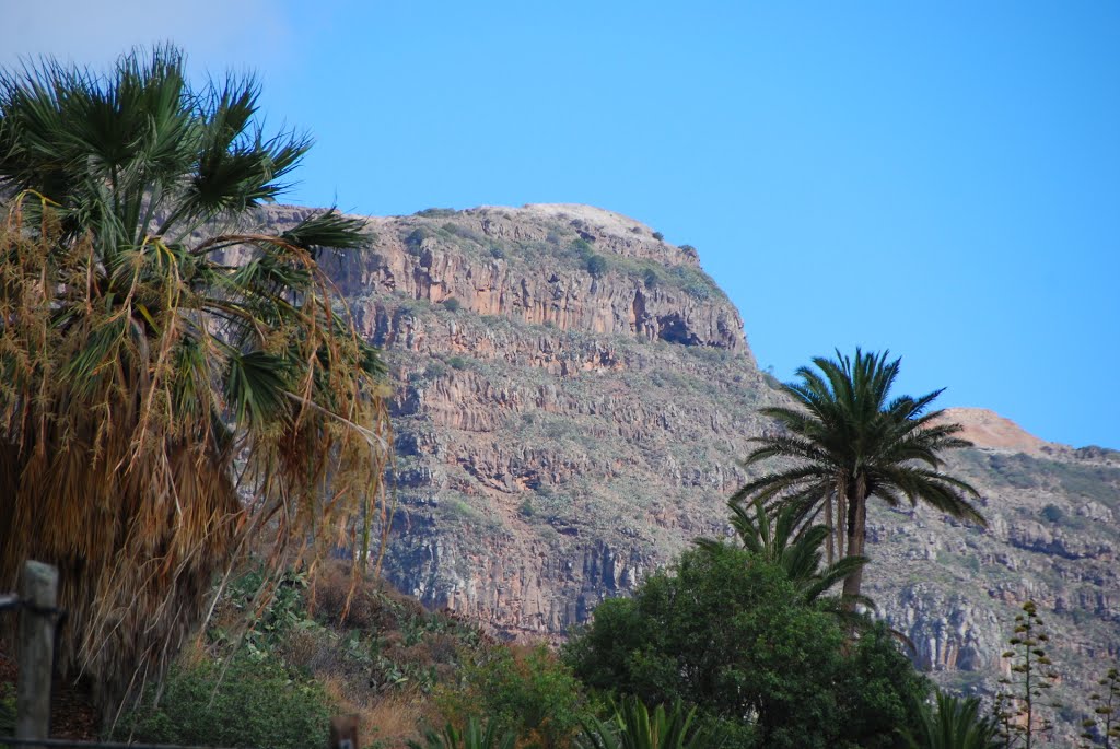 38829 Las Poyatas, Santa Cruz de Tenerife, Spain by Ropuh