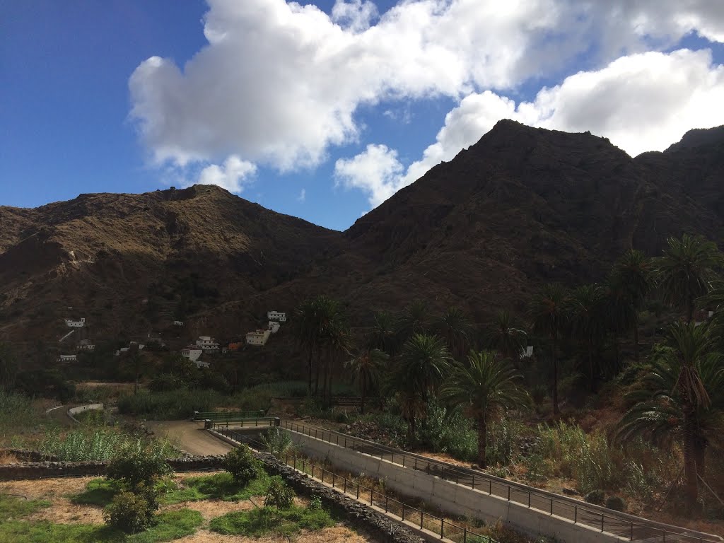 38829 Las Poyatas, Santa Cruz de Tenerife, Spain by Ropuh