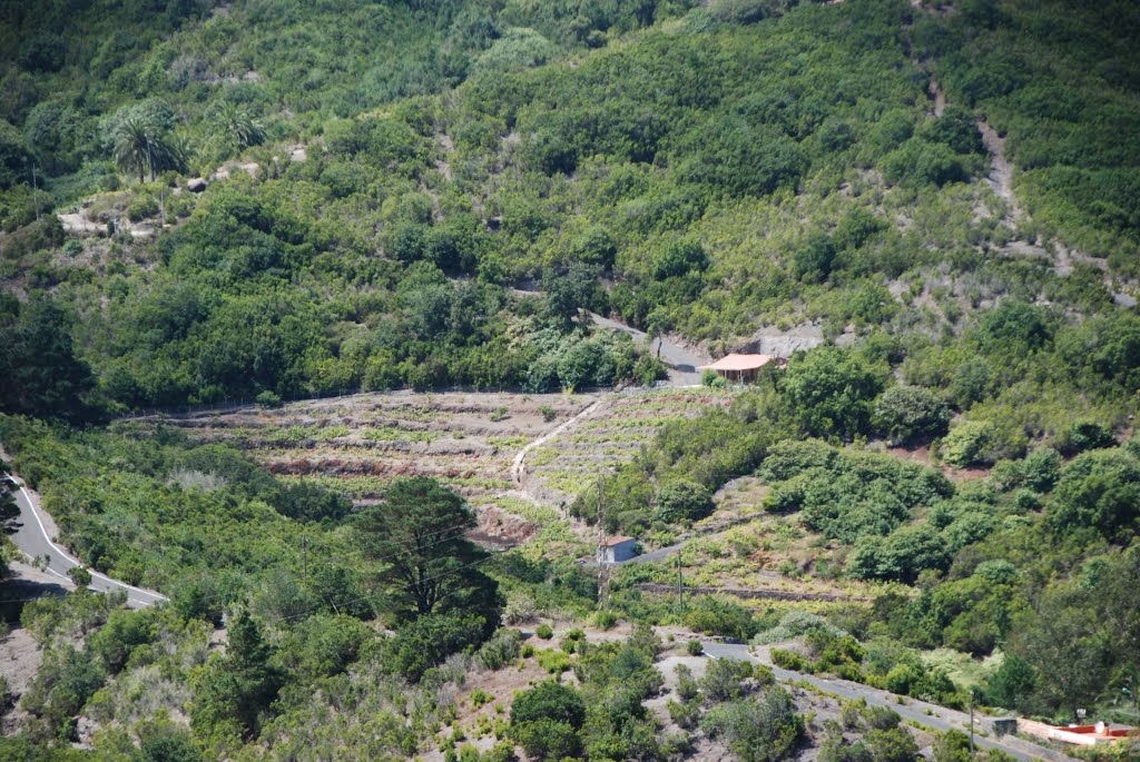 Agulo, Santa Cruz de Tenerife, Spain by Ropuh