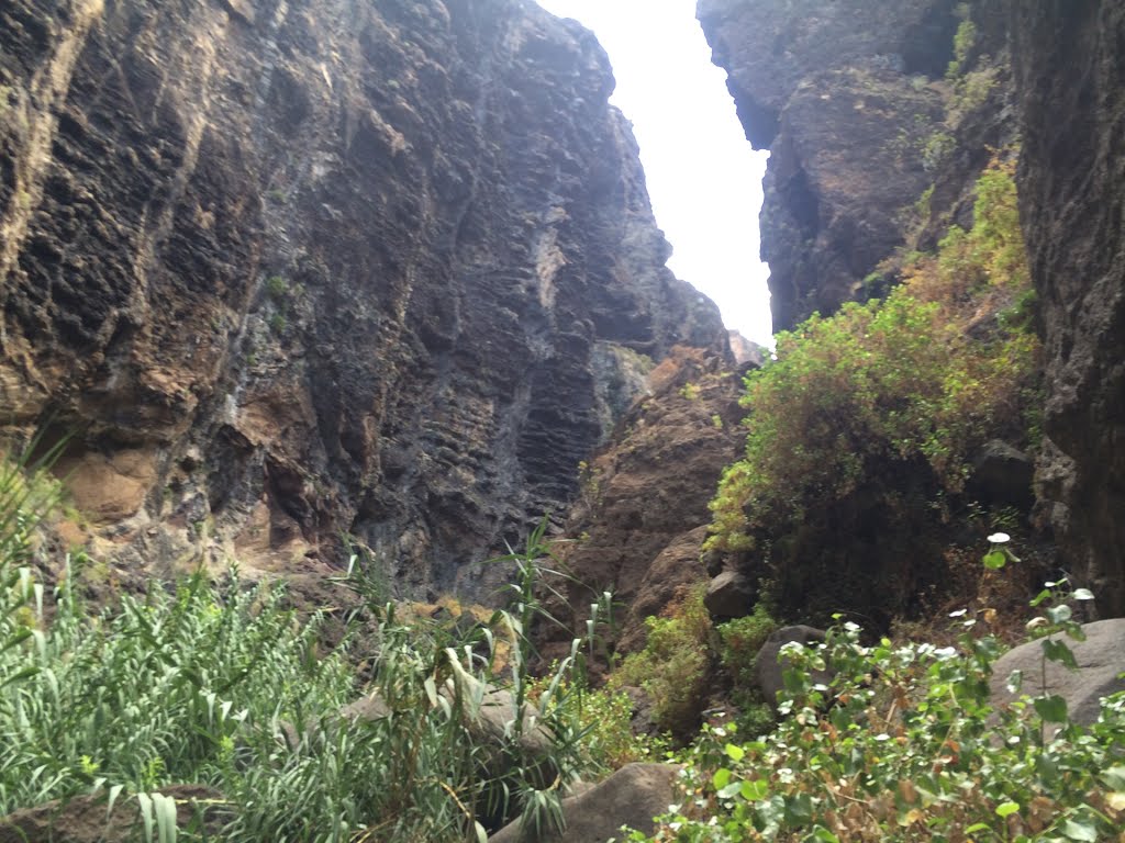 Buenavista del Norte, Santa Cruz de Tenerife, Spain by Ropuh