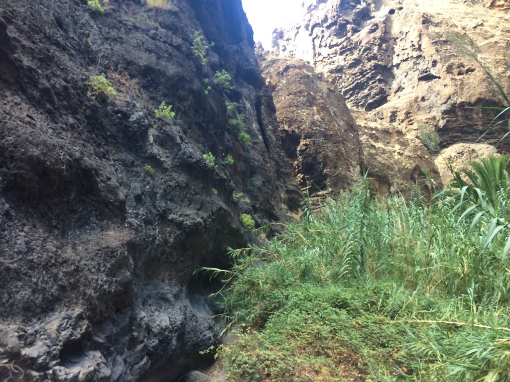 Buenavista del Norte, Santa Cruz de Tenerife, Spain by Ropuh