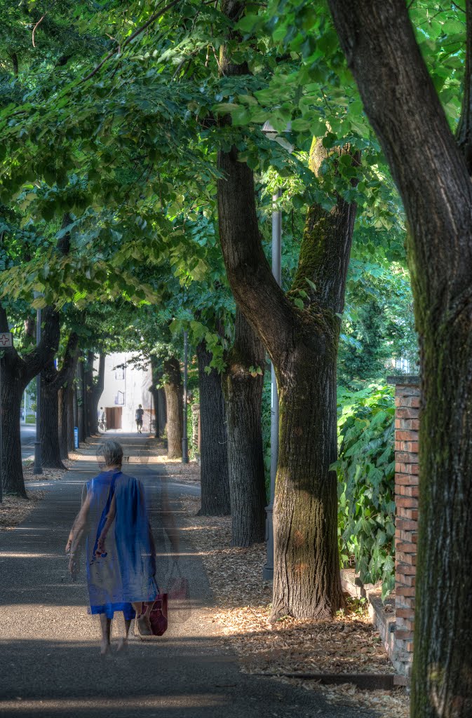 Viale Umberto I - Reggio Emilia, Italia - 7 Luglio 2015 by Giorgio Galeotti