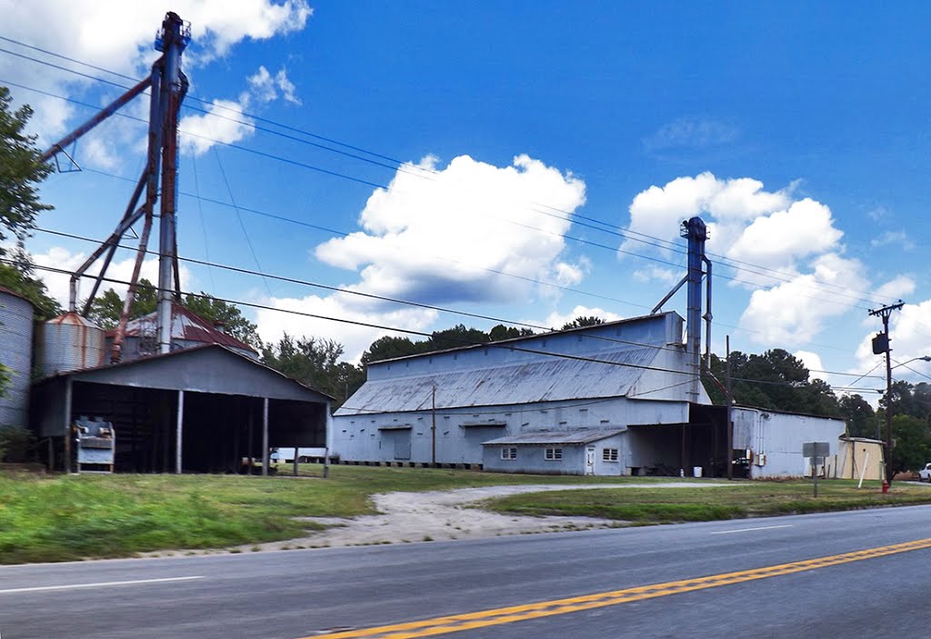 Boykin Dyer Mill, Wakefield, Sussex County, VA by r.w. dawson