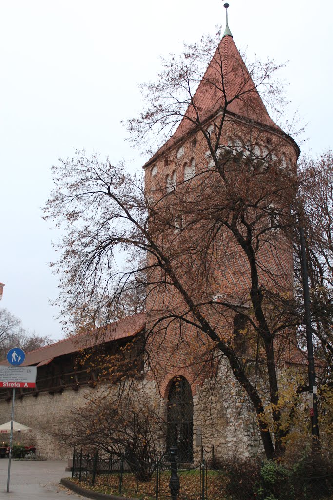 Stare Miasto, Kraków, Poland by Dmytro Dvornichenko