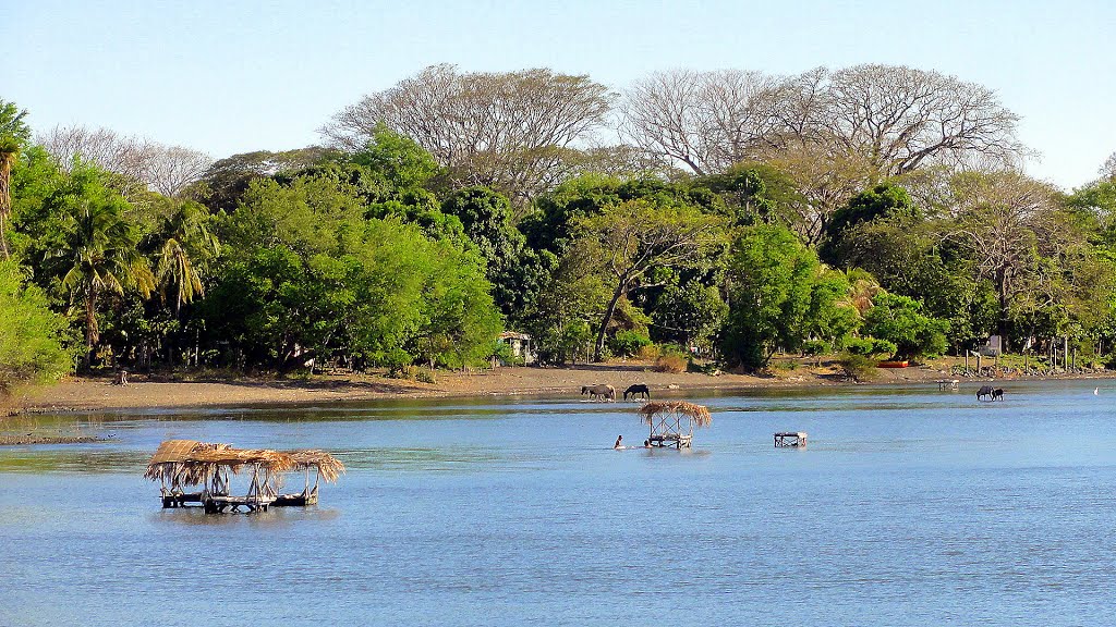 NICARAGUA Isla de Ometepe - Lavaderos públicos en Lago Cocibolca, Moyogalpa by Talavan