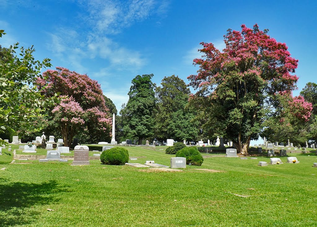 Ivy Hill Cemetery, Isle of Wight County, VA by r.w. dawson