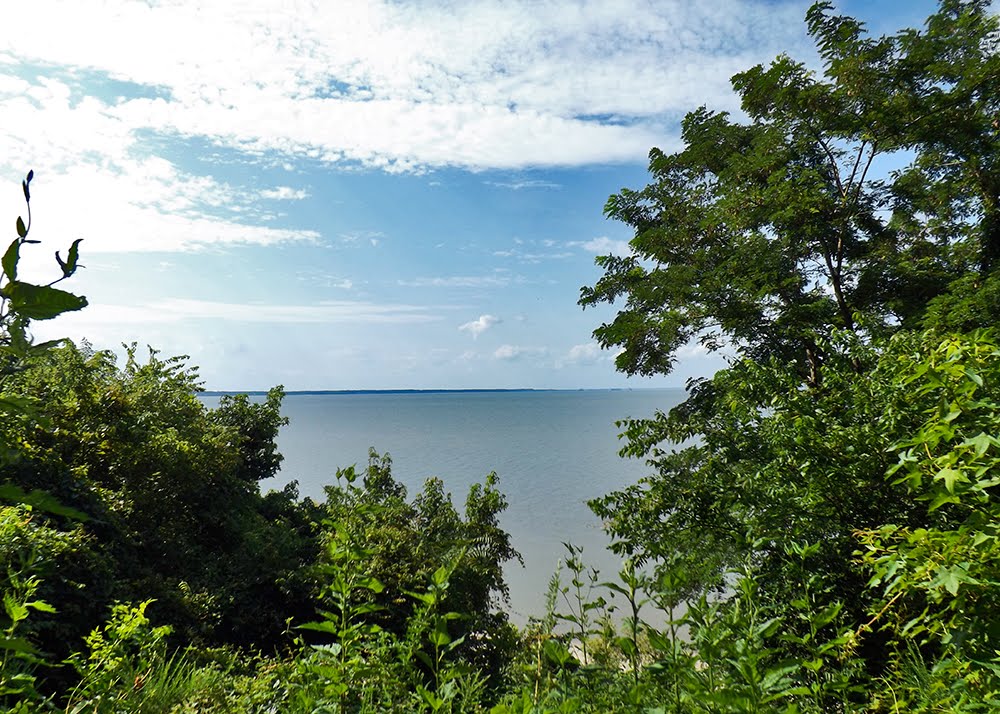 View of the James River from Ft. Boykin, Isle of Wight County, VA by r.w. dawson