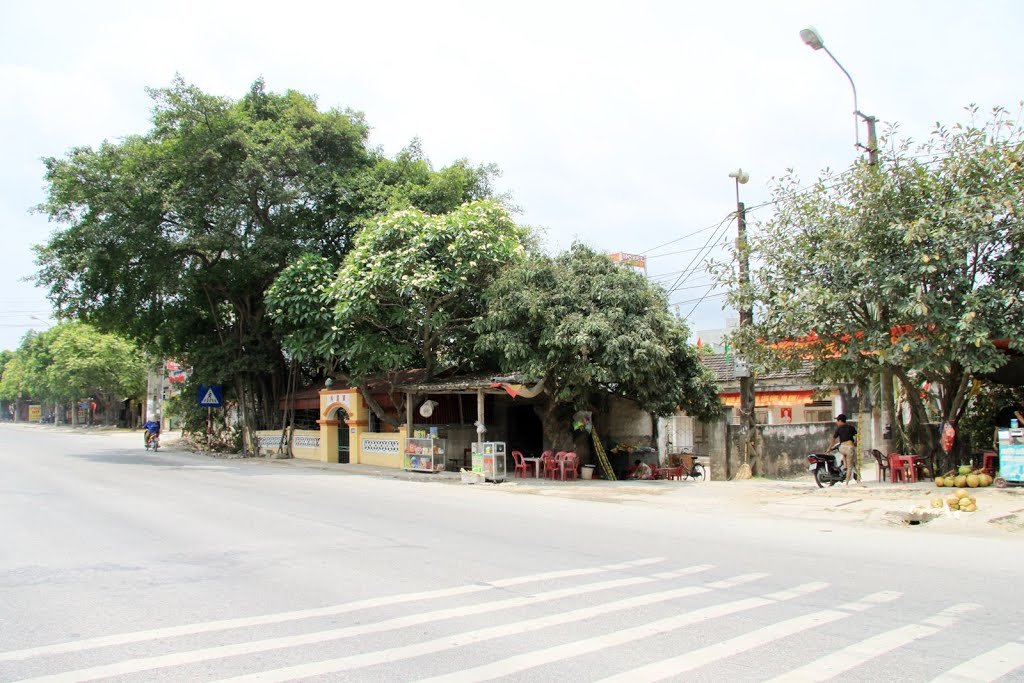 Ninh Mỹ, Hoa Lư, Ninh Bình, Vietnam by Đăng Định