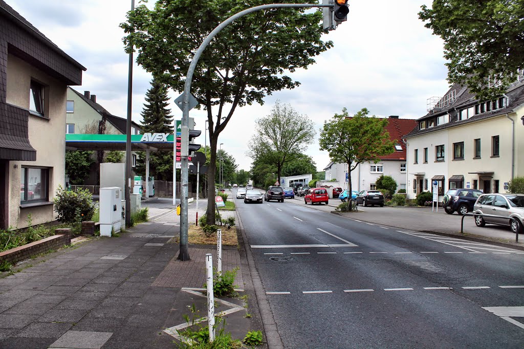 Schüruferstr. (Dortmund-Schüren) / 27.05.2015 by Daniil Bartholomae