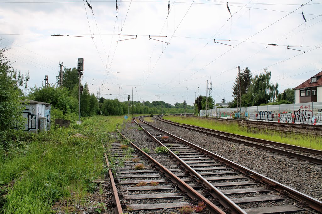 Bahnstrecke Dortmund–Soest, nahe Rangierbahnhof (Dortmund-Hörde) / 27.05.2015 by Daniil Bartholomae