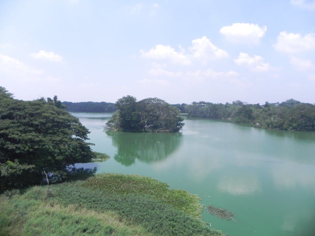 KARANJI LAKE, MYSORE by ALENDE DEVASIA