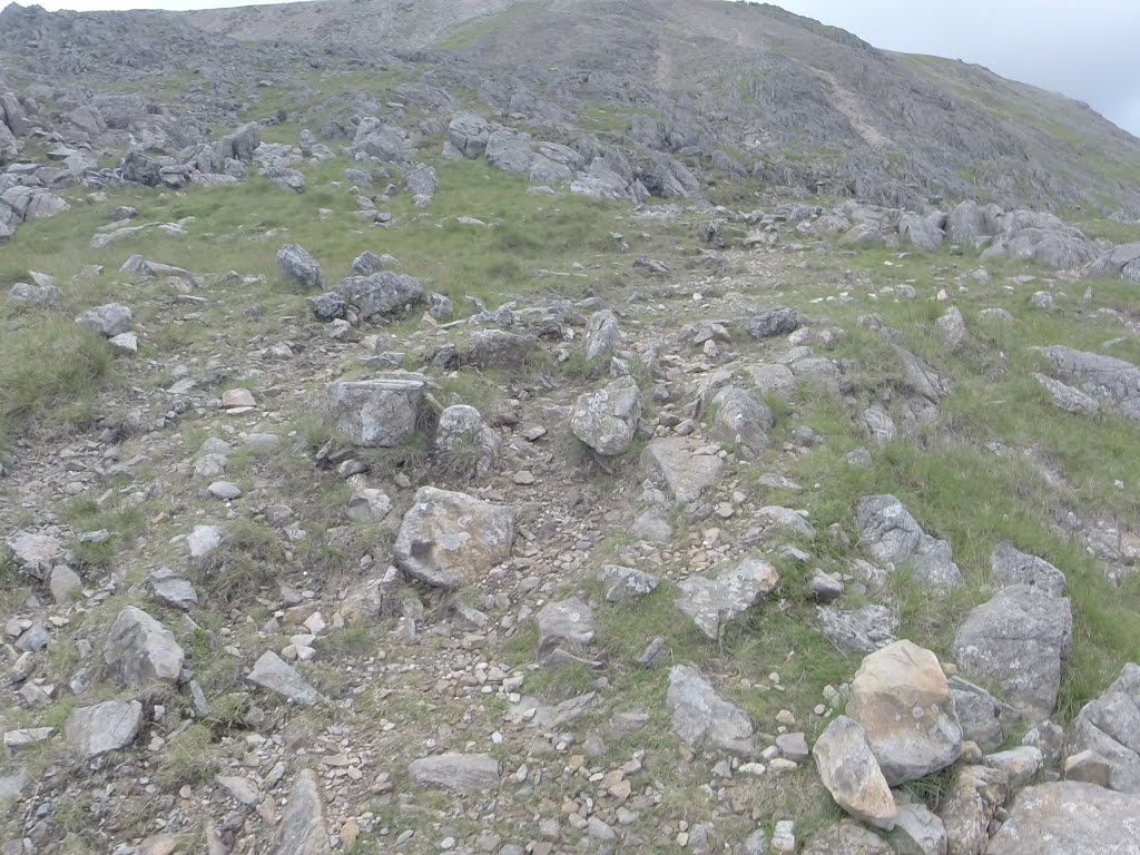 Capel Curig, UK by Alan C. Bonnici