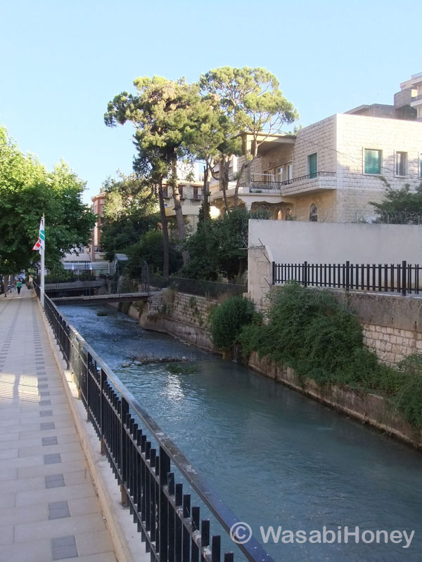 The Berdawni river along Brazil street 1 by Wasabi H.