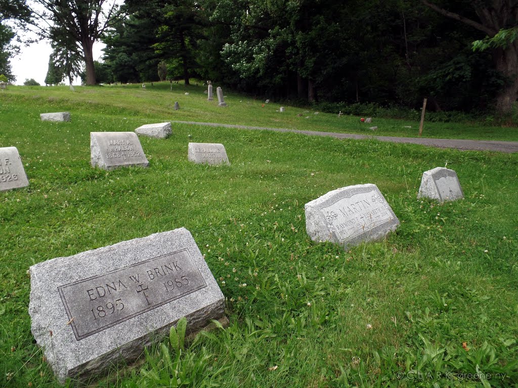 © Calvary Cemetery 7.17.15 (Martin/Whalon family plot (Brink) by Geraldine Clark