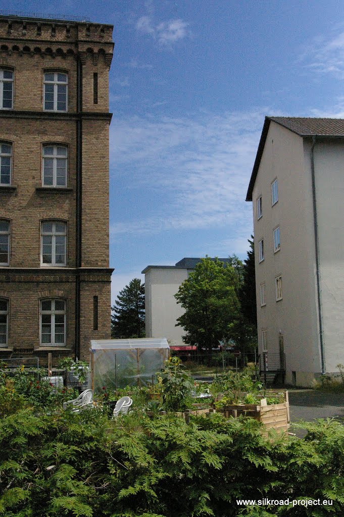 Bonn-Zentrum, Bonn, Germany by 100000 km Reiserad