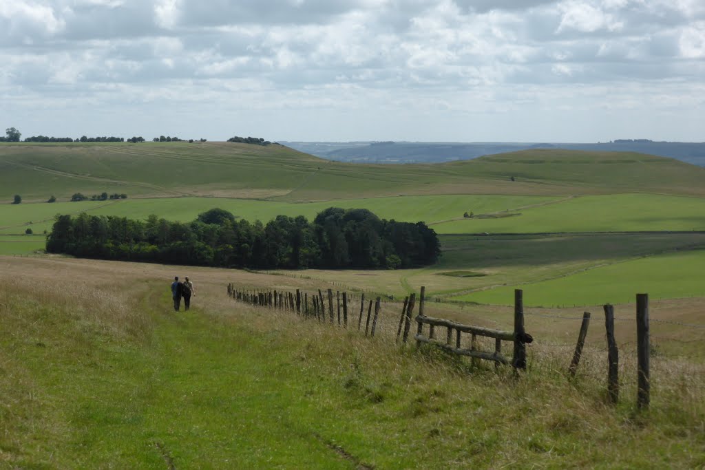 Descending (looking SE) towards Pewsey Downs car park and Knapp Hill by SinglePointSafety