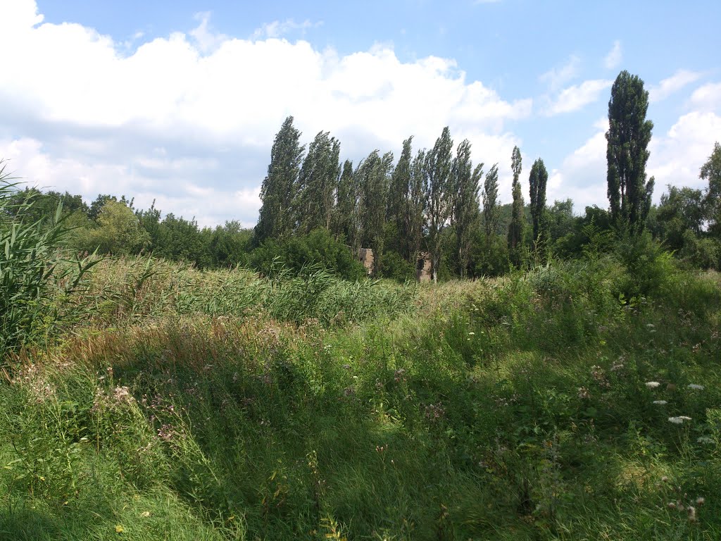 Proletars'kyi district, Donetsk, Donetsk Oblast, Ukraine by bark bark