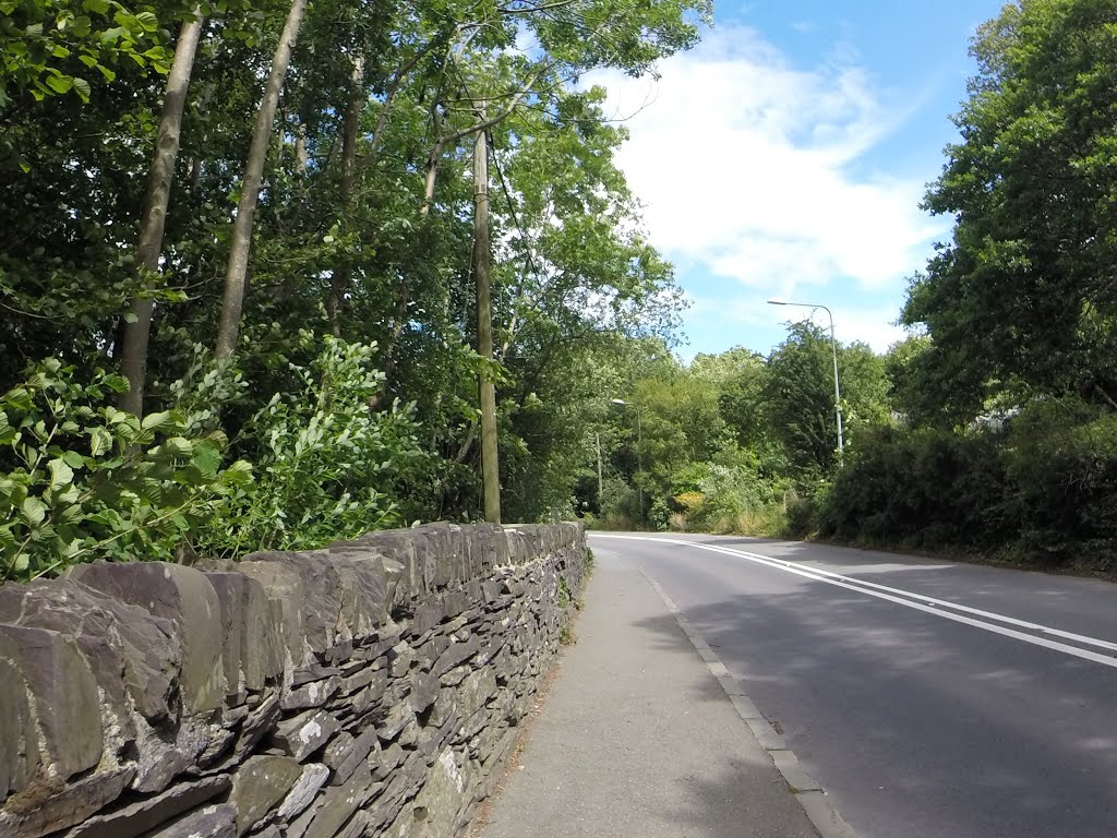 Llanllechid, UK by Alan C. Bonnici