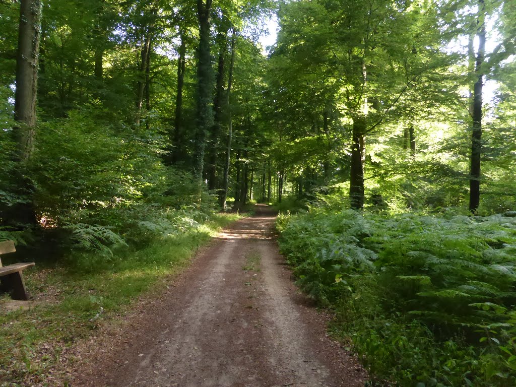 Strassen, Luxembourg by Nikos Sarantakos