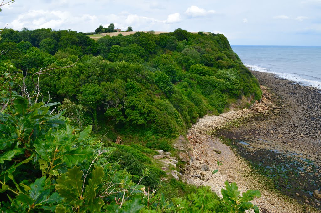 Hayburn Wyke by Ruth Craine