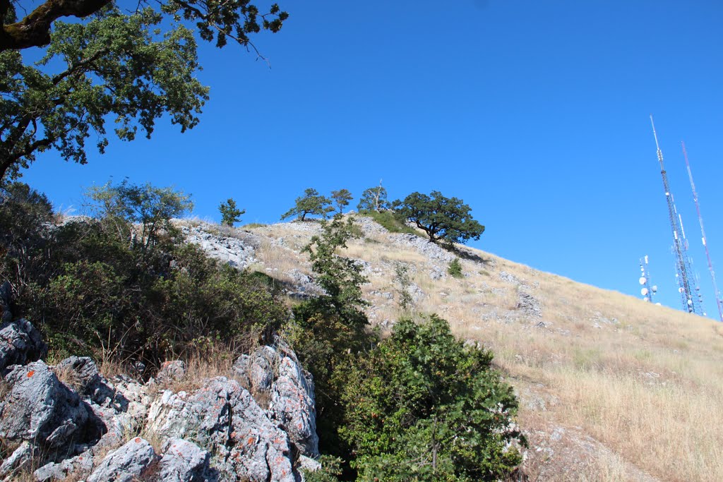 Fremont Peak summit by Thomson M