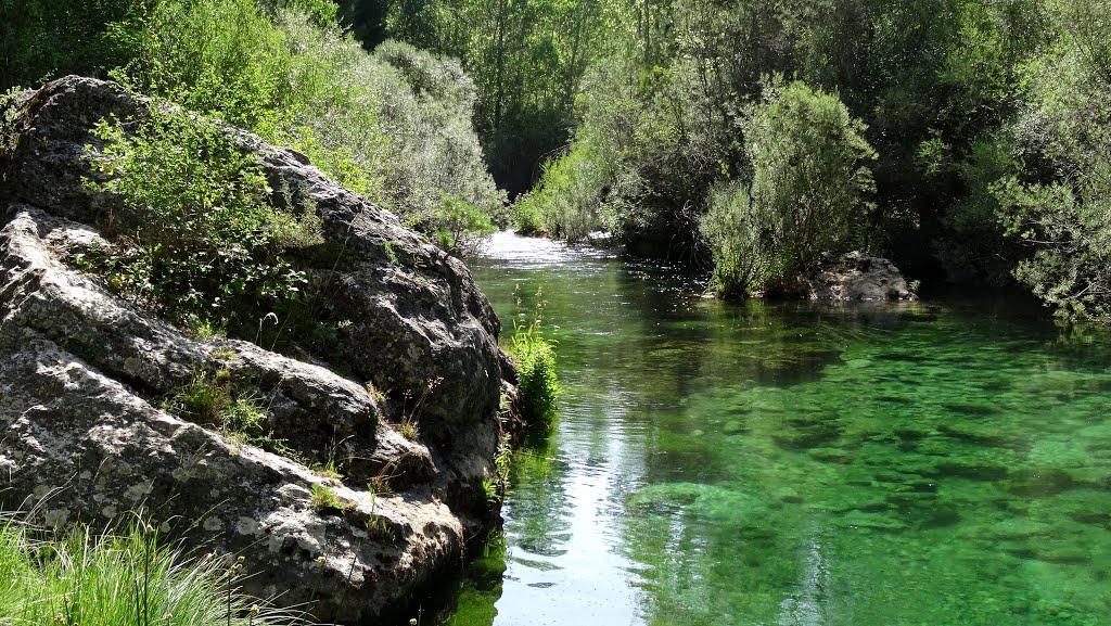 Trampolín natural desde el que nos zambullimos sobre tan frescas aguas. by ljimen3