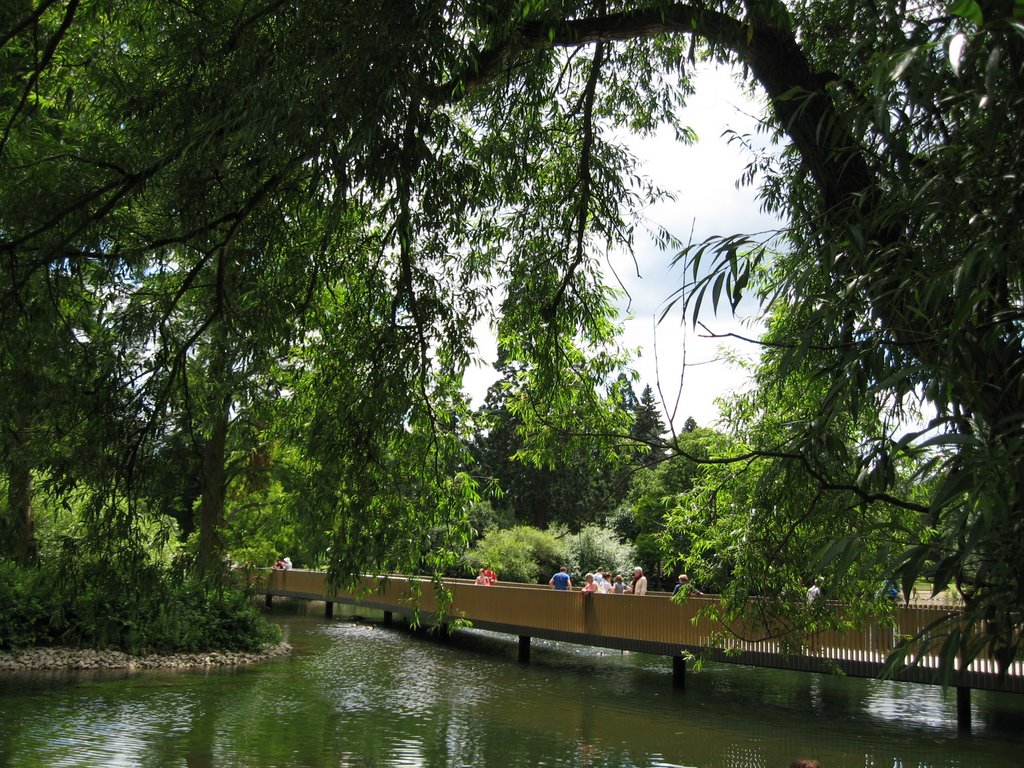 The Sackler Crossing, Kew Gardens by Neil Moody-Jones