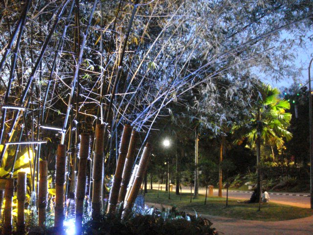 Lighting effect on Bamboo tree@LAMAN 2008, Perdana Lake Garden by A Syaharuddin K