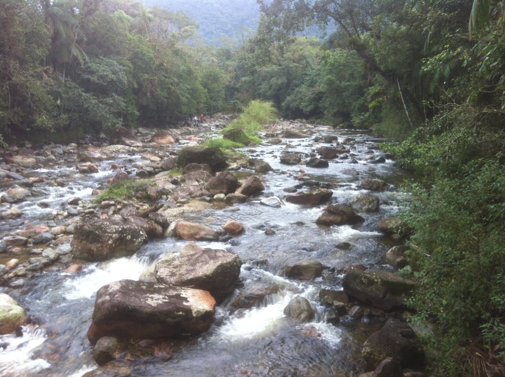 Garuva - State of Santa Catarina, Brazil by Silvio Wanderlei Mai…