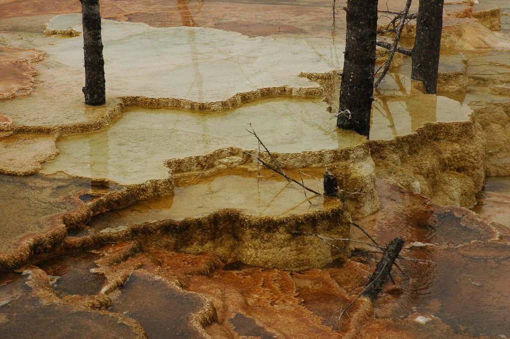 Yellowstone NP Mammoth Hot Springs by miro59