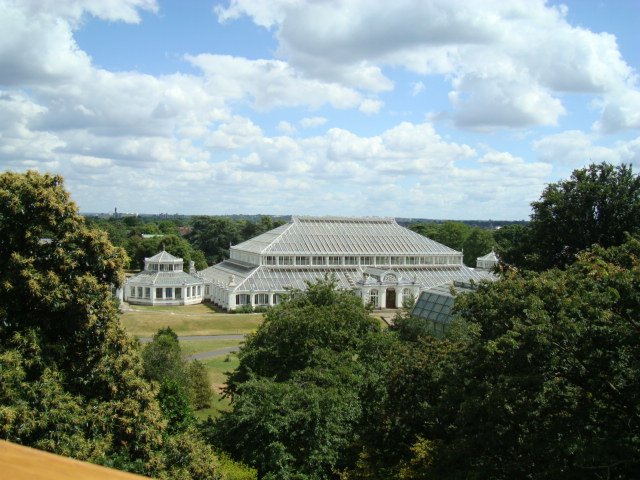 View to the Greenhouse by GerryTobin