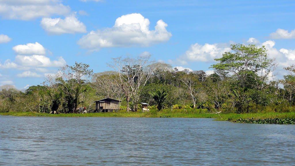 NICARAGUA Río San Juan by Talavan